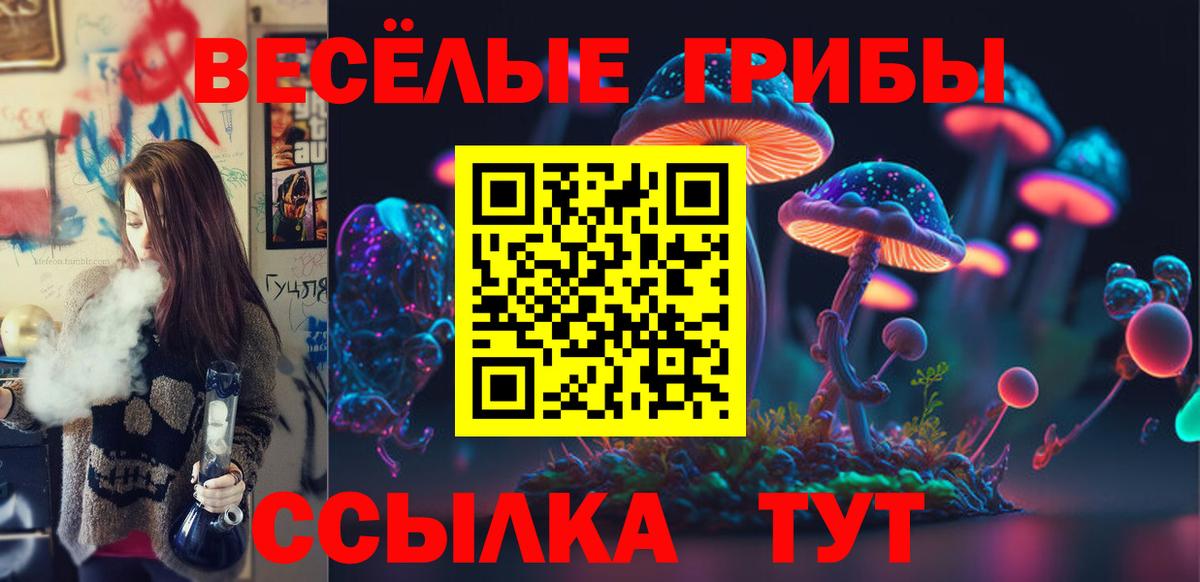 закладка  Псилоцибиновые грибы GOLDEN TEACHER  Вход с VPN  Нерюнгри  Галлюциногенные грибы GOLDEN TEACHER 